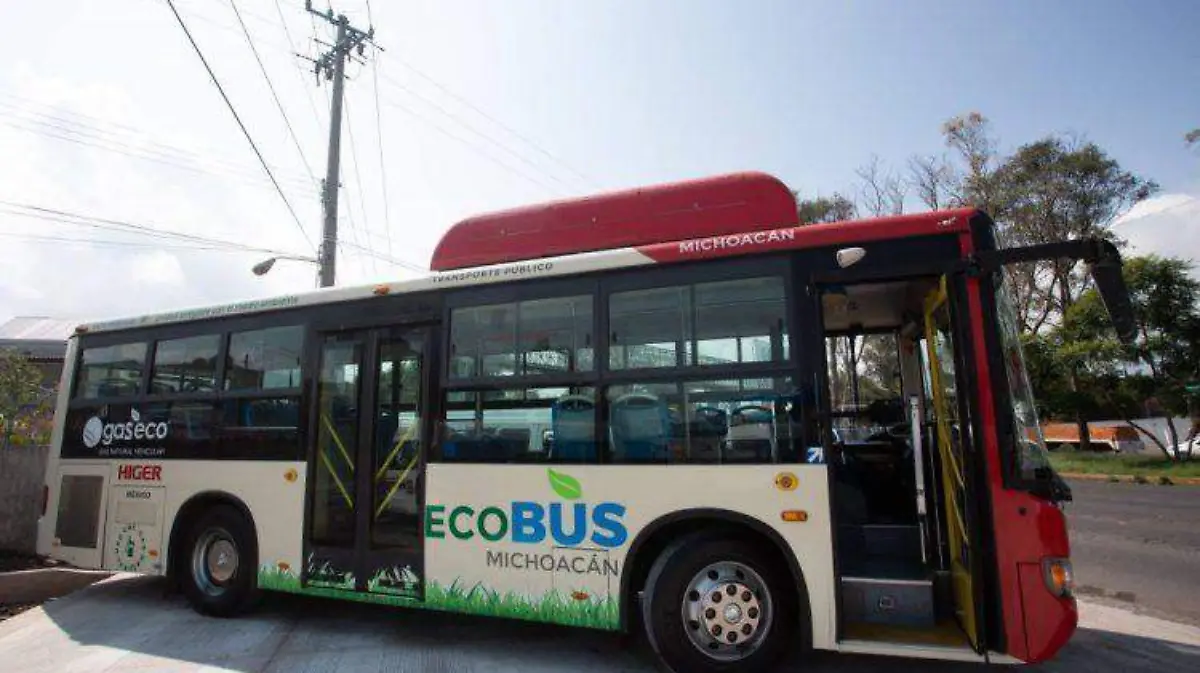 ECOBUS_CORTESIA COCOTRA (2)